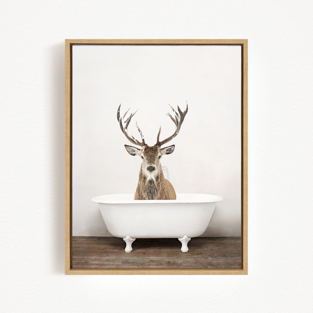 A deer with large antlers is sitting in a white bathtub against a plain white wall.