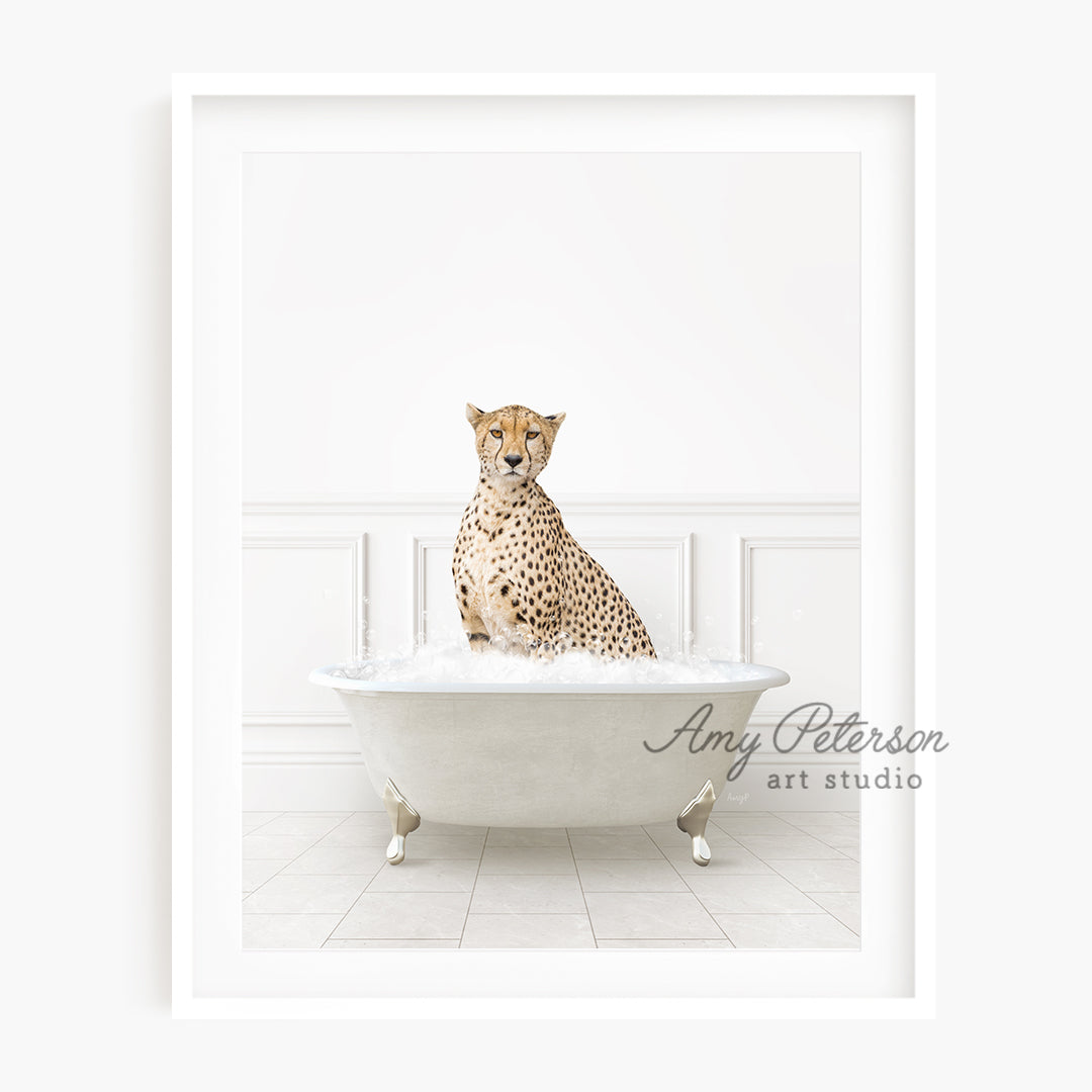 a picture of a cheetah sitting in a bathtub