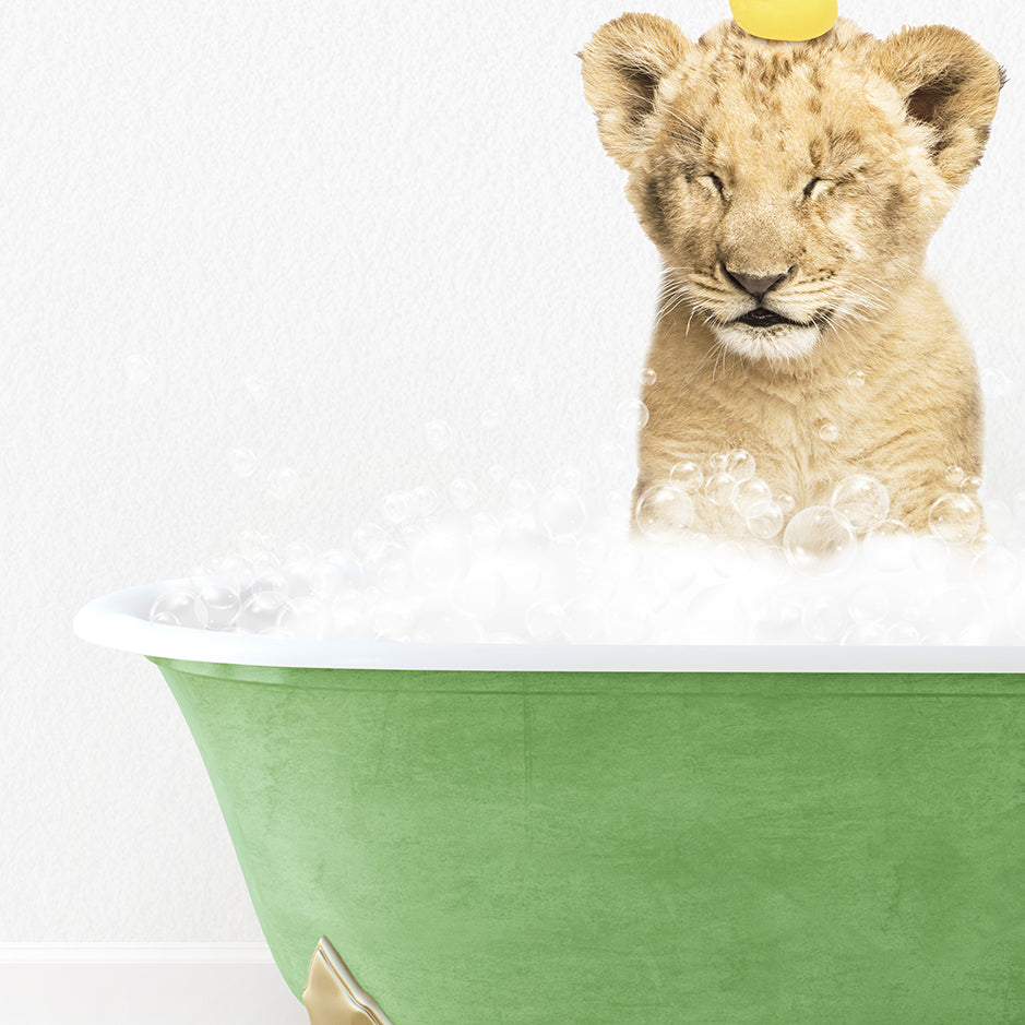 a lion cub sitting in a bathtub with bubbles