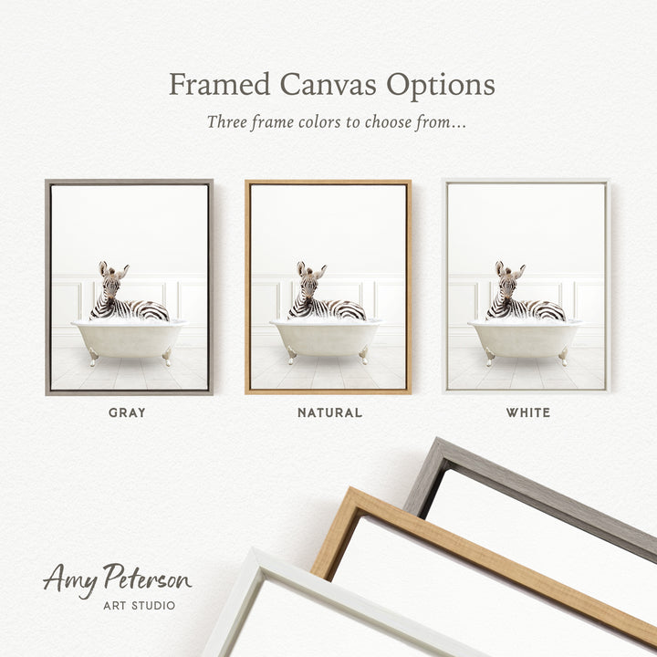 three framed canvas options, each featuring a zebra sitting in a bathtub. The options include a gray frame, a natural frame, and a white frame.