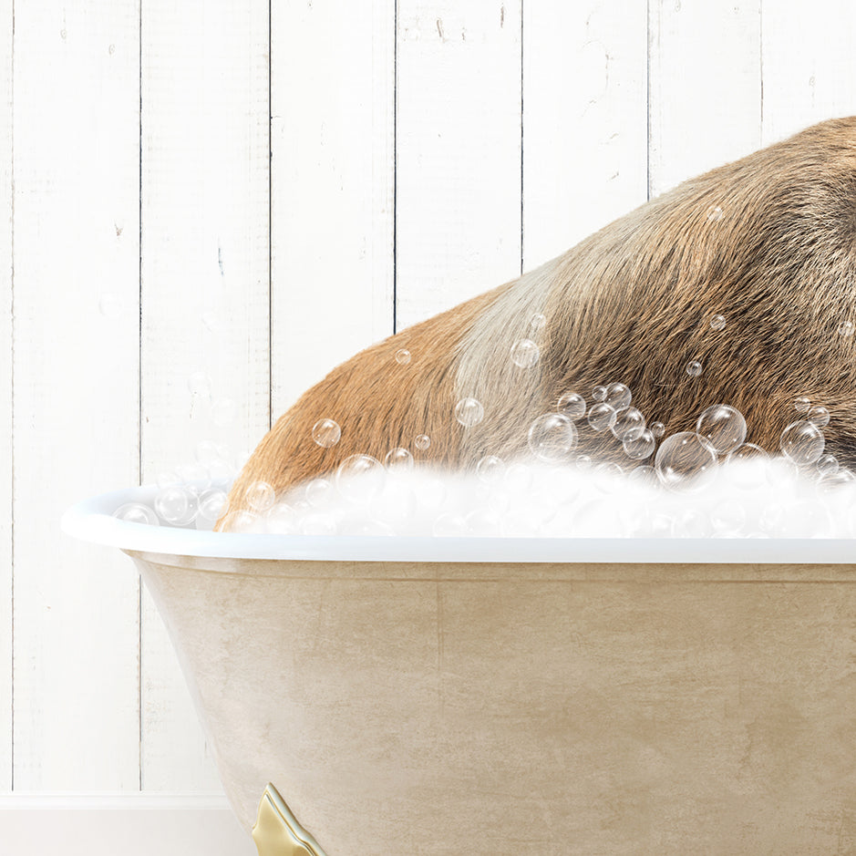 a dog taking a bath in a bathtub