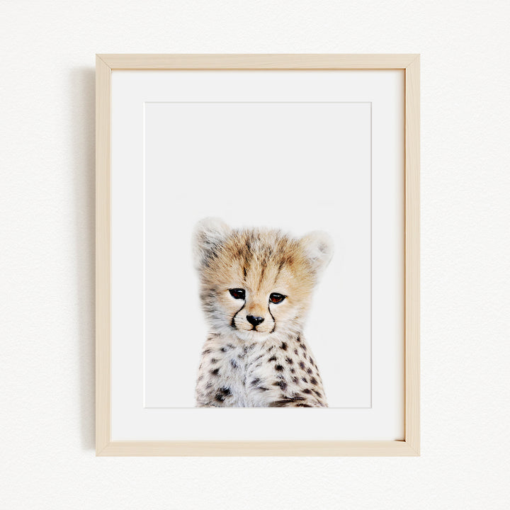 A young cheetah with a spotted coat is the focus of the image, captured in a framed print against a plain white background.