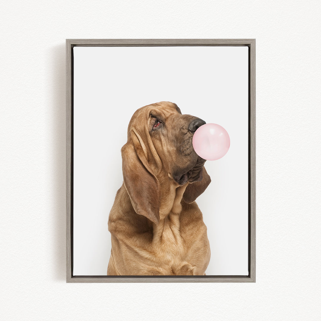 A brown dog is blowing a pink bubble with its mouth, looking up at the camera.