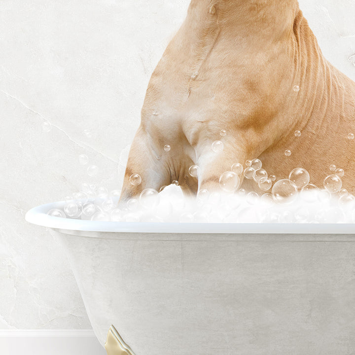 a dog sitting in a bathtub full of bubbles