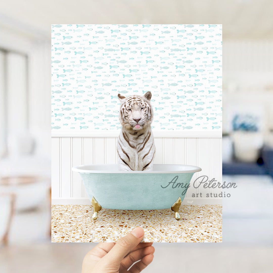 a white tiger sitting in a blue bath tub