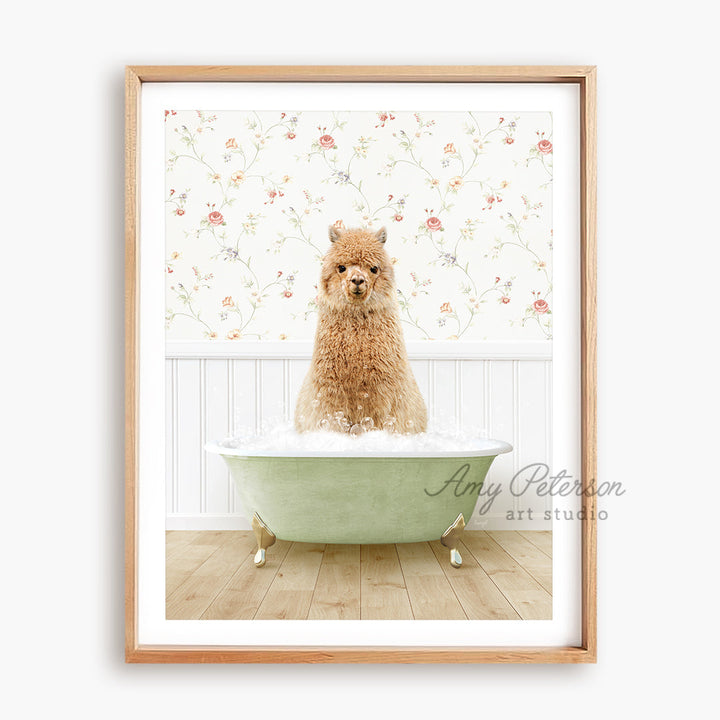 a brown dog sitting in a green bath tub