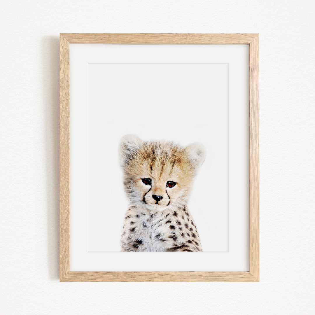 A framed photograph of a young cheetah with a white background and a light brown frame.