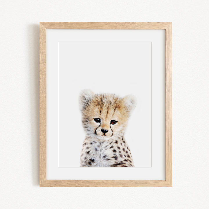 A framed photograph of a young cheetah with a white background and a light brown frame.
