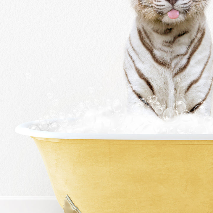 a white tiger sitting in a bathtub with bubbles