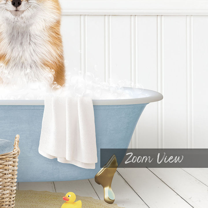 A fluffy orange and white cat sitting in a blue bathtub filled with bubbles, with a yellow rubber duck nearby.