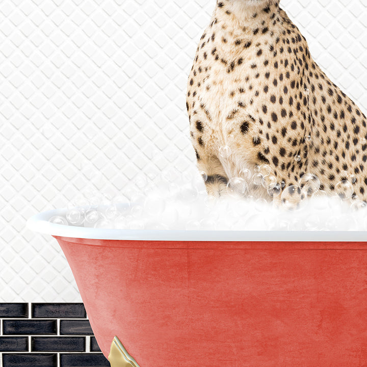 a cheetah sitting in a bathtub full of foam