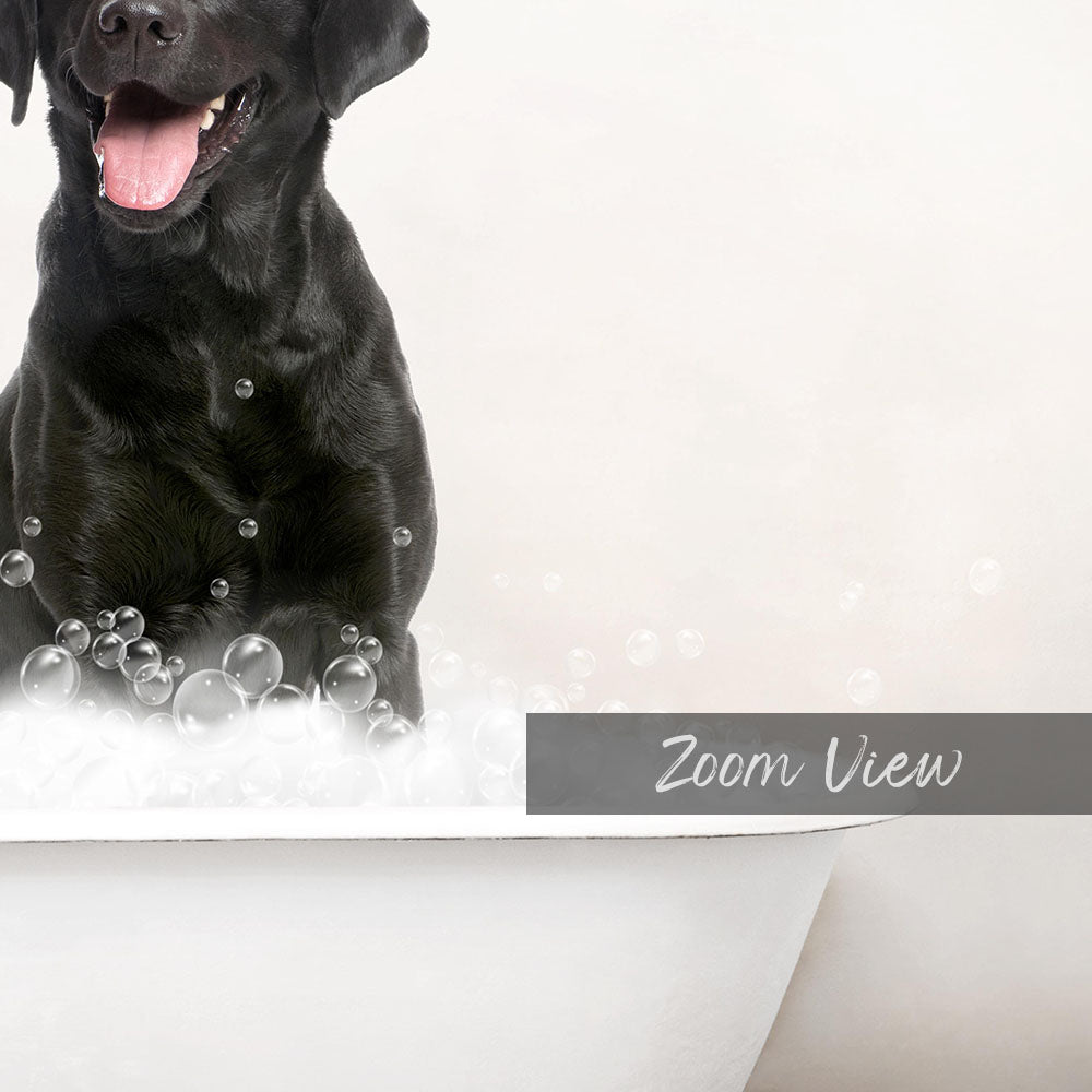 A black dog sitting in a bathtub filled with bubbles, with the word "Zoom View" written on the side of the tub.