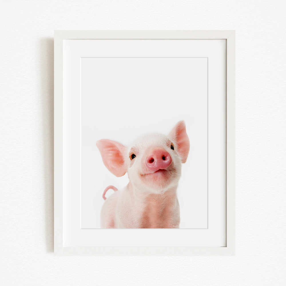A cute, pink pig with large ears and a pink nose is the main subject of the framed image.