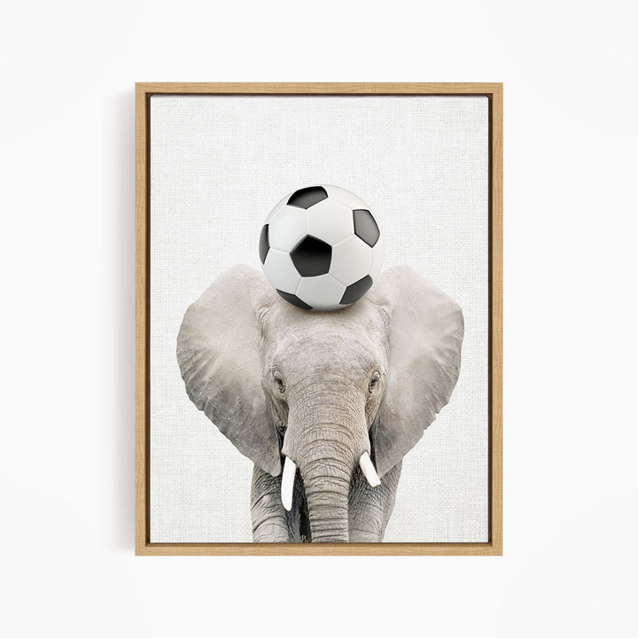 A gray elephant stands against a white background, with a soccer ball resting on its head.