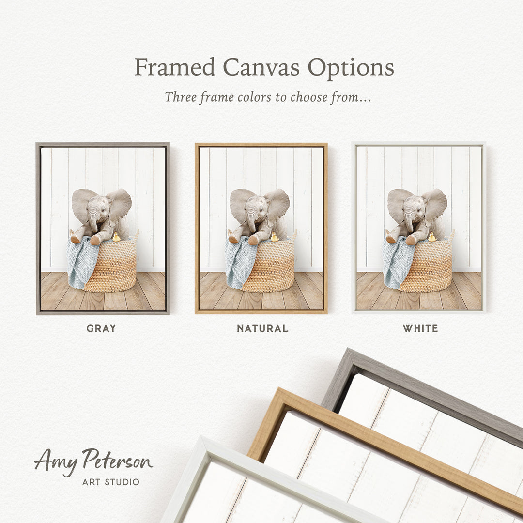 three framed canvas options, each featuring a different color of frame and a picture of an elephant in a basket.