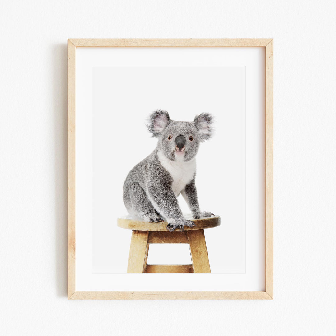 a picture of a koala sitting on a stool
