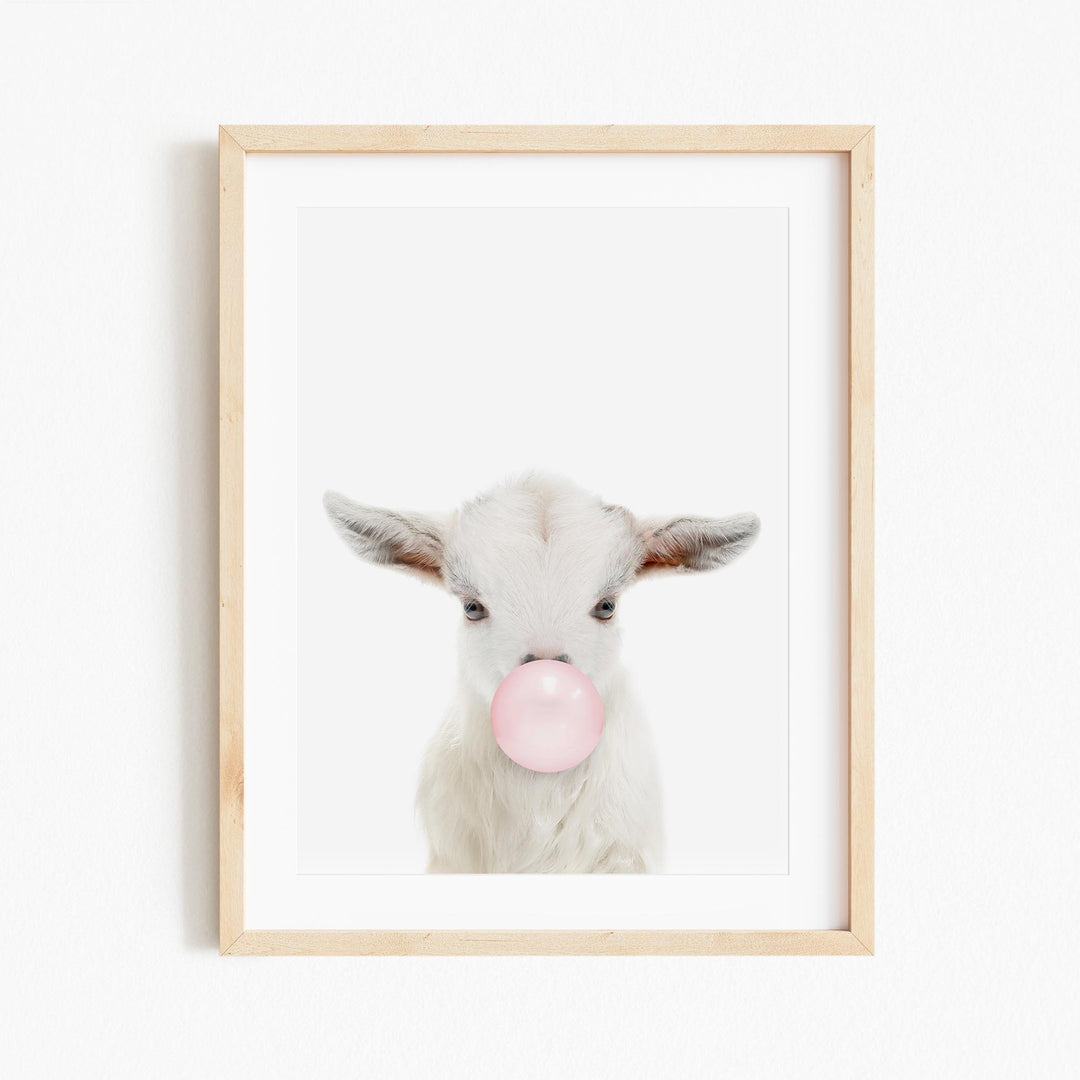 a picture of a baby goat chewing on a pink bubble