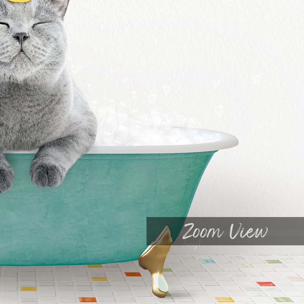 A gray cat sitting in a green bathtub filled with bubbles, with a "Zoom View" label below the image.