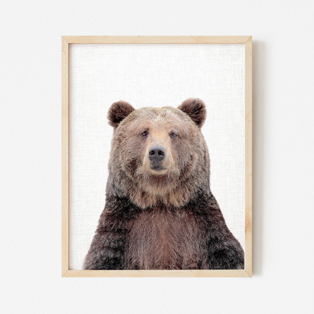 a picture of a brown bear in a wooden frame