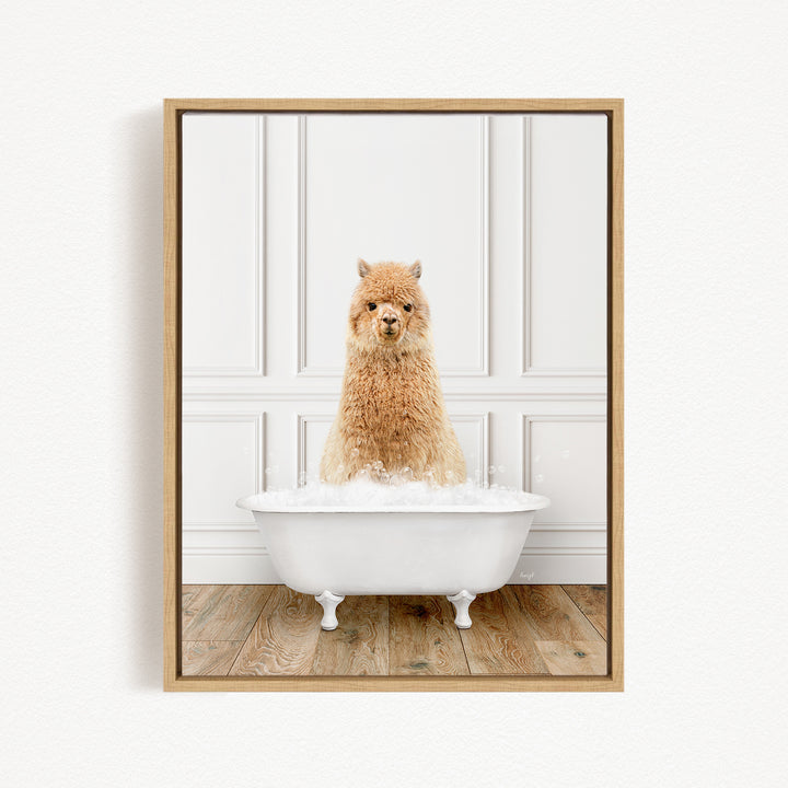 A fluffy brown alpaca sitting in a white bathtub filled with bubbles, looking directly at the camera.