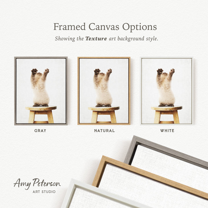 three framed canvas options, each with a different background style: gray, natural, and white. The text above the images reads " Framed Canvas Options" and "Showing the Texture art background style."