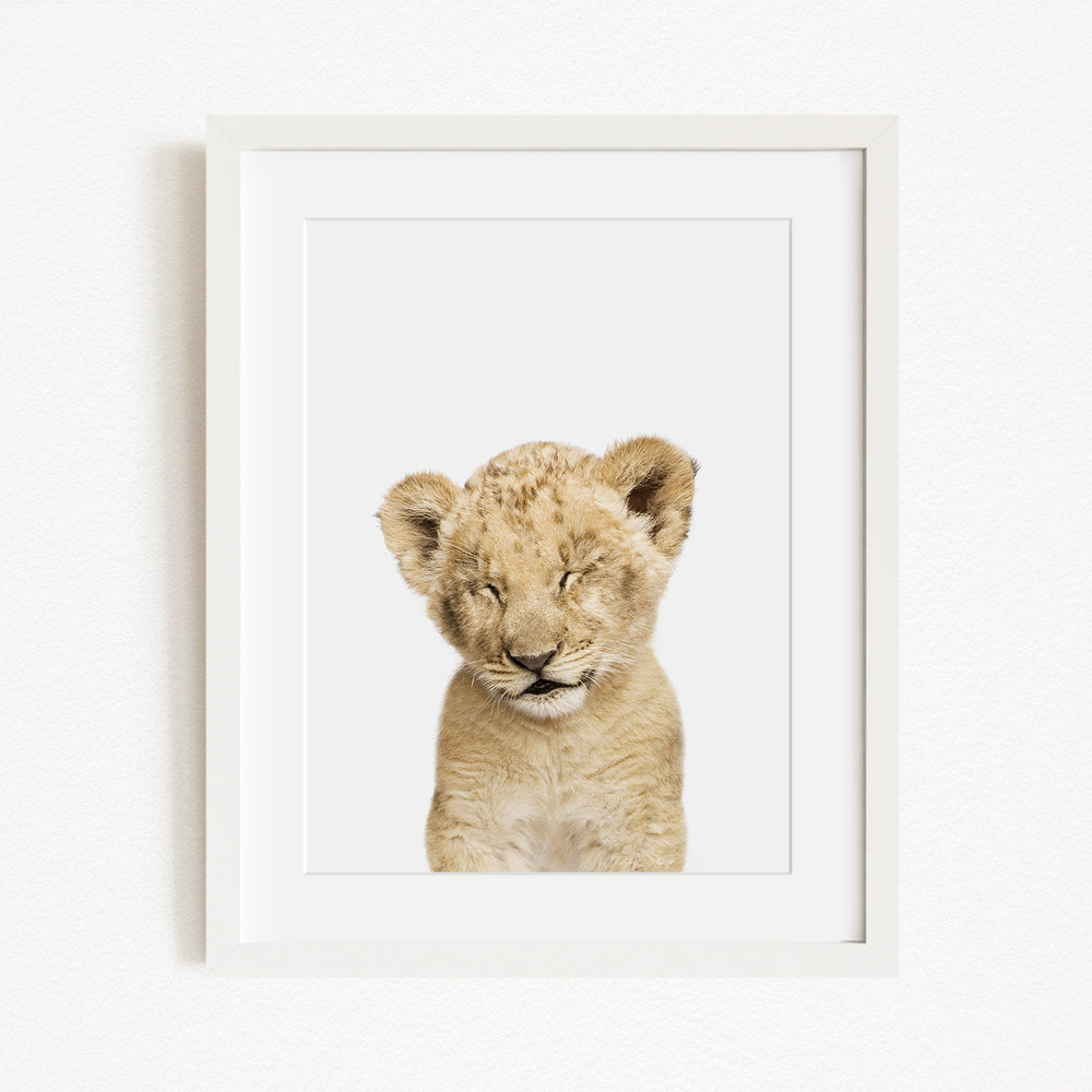 A young lion cub with its eyes closed, looking directly at the camera.
