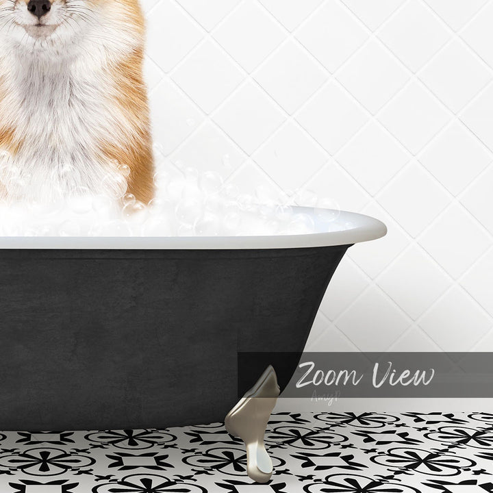 A fluffy orange and white cat is sitting in a black bathtub filled with bubbles, with a text overlay that reads "Zoom View" in the bottom right corner.