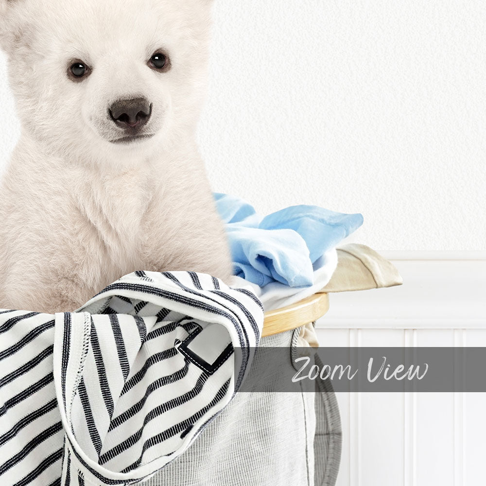 A cute white puppy is sitting in a laundry basket filled with clothes, with a white wall in the background.