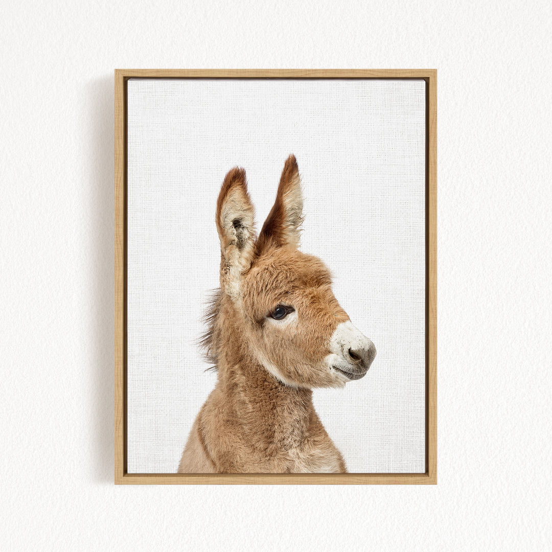 A close-up portrait of a donkey with a white nose and brown ears, looking directly at the camera.