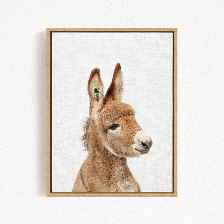 A close-up portrait of a donkey with a white nose and brown ears, looking directly at the camera.