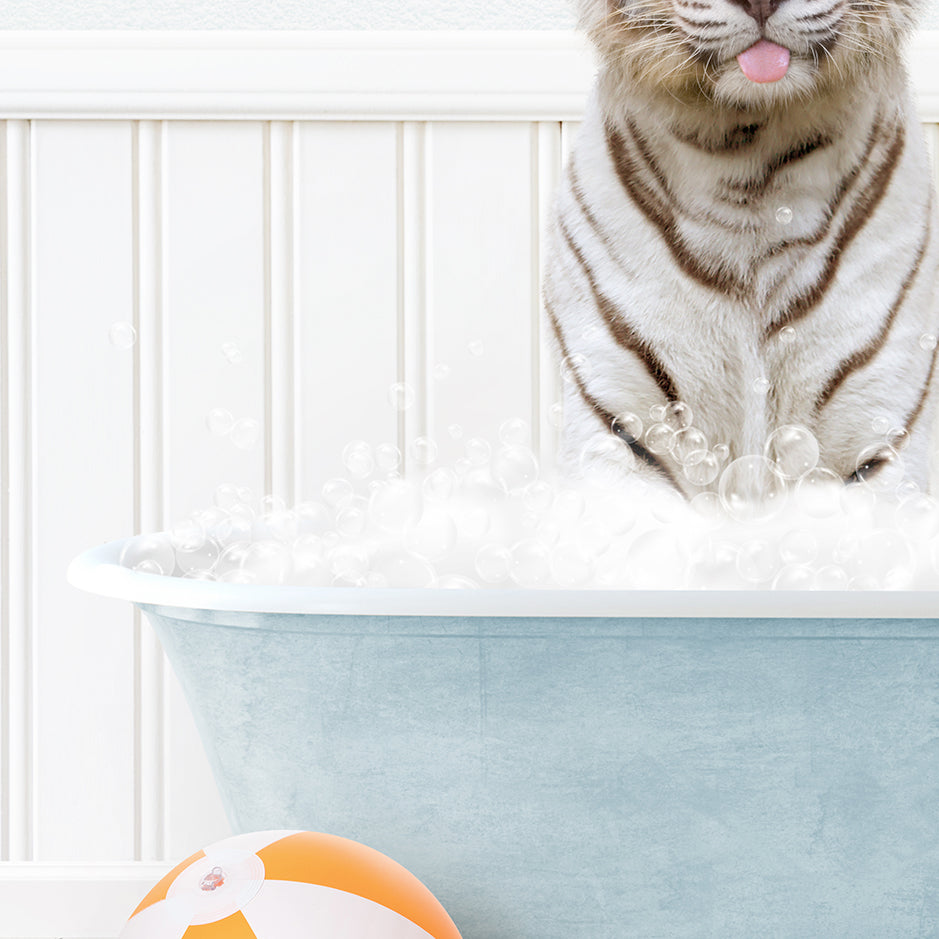 a tiger sitting in a bath tub with bubbles