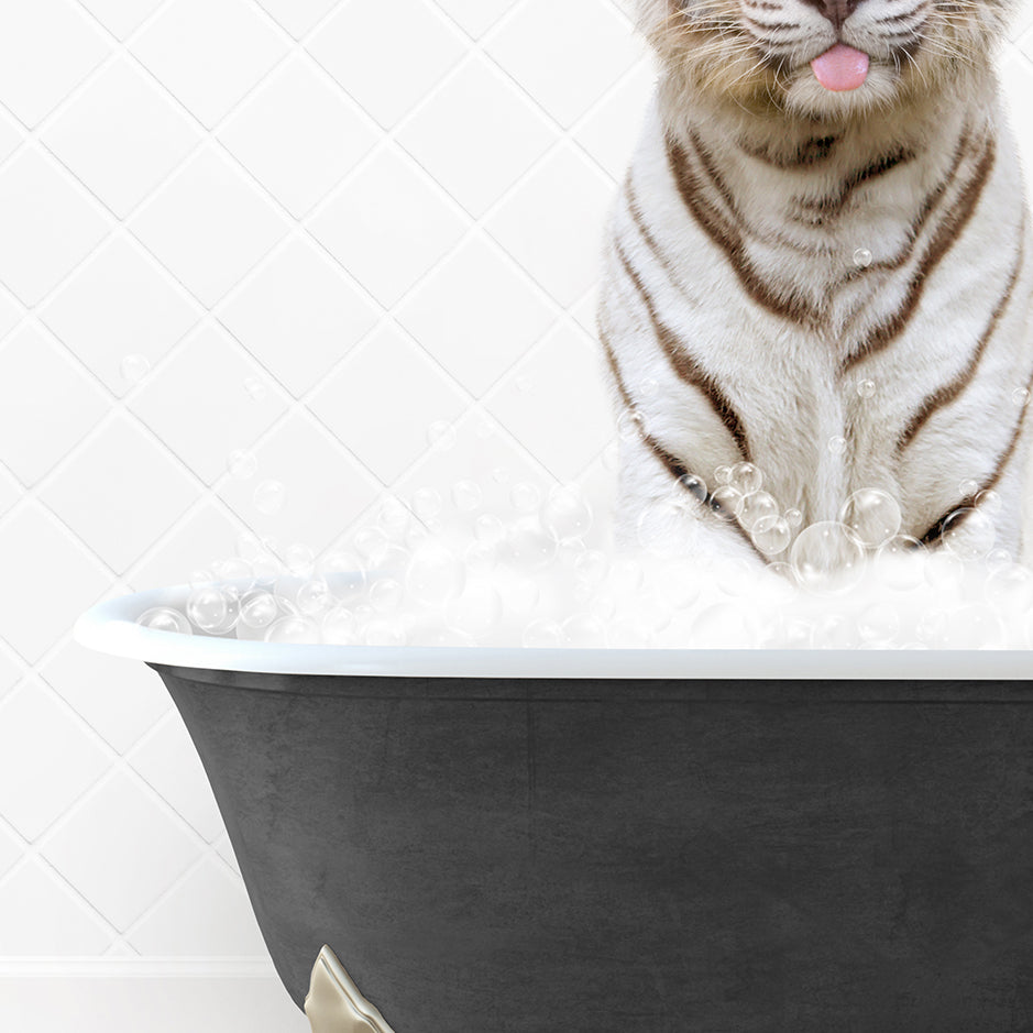 a white tiger sitting in a bath tub