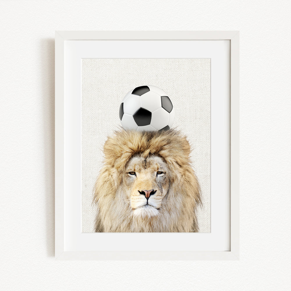 A framed image of a lion with a soccer ball on its head.