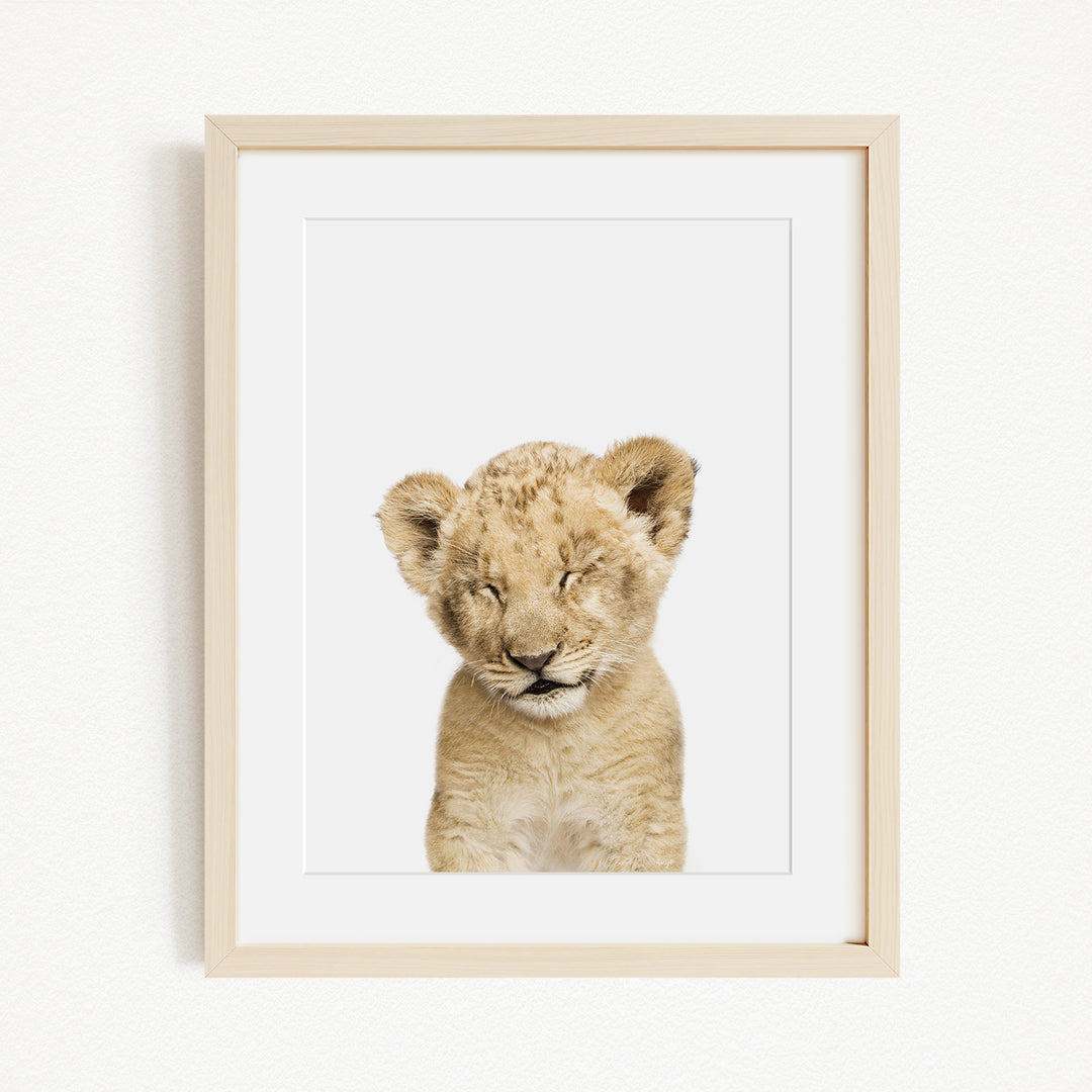 A young lion cub with its eyes closed, looking directly at the camera.