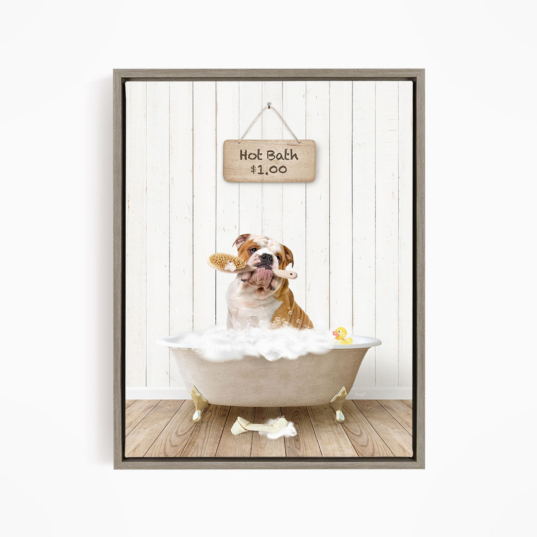 A brown and white bulldog sitting in a white bathtub, holding a yellow rubber duck, with a sign above indicating a hot bath for $1.00.