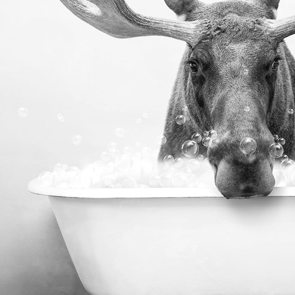 a moose taking a bath in a bathtub