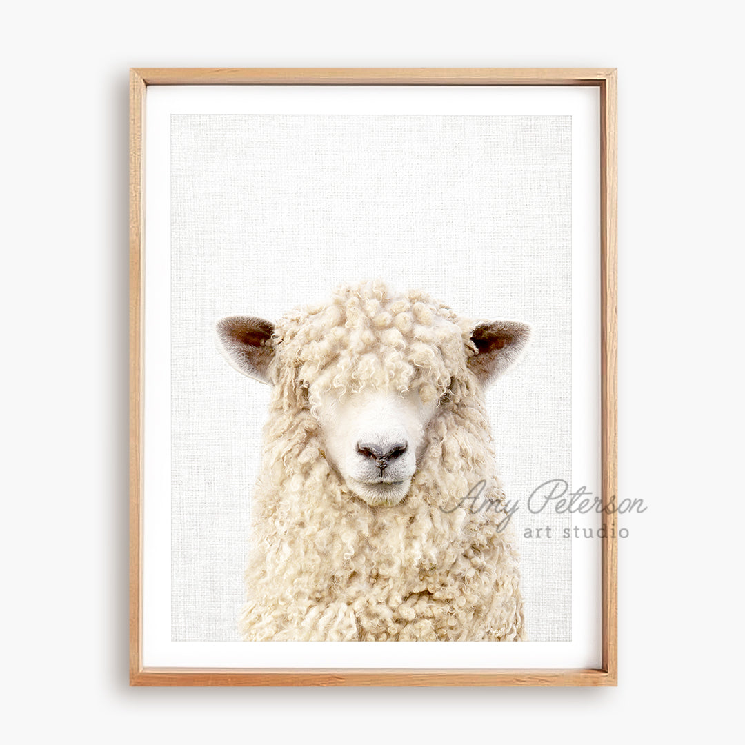 a picture of a sheep in a wooden frame