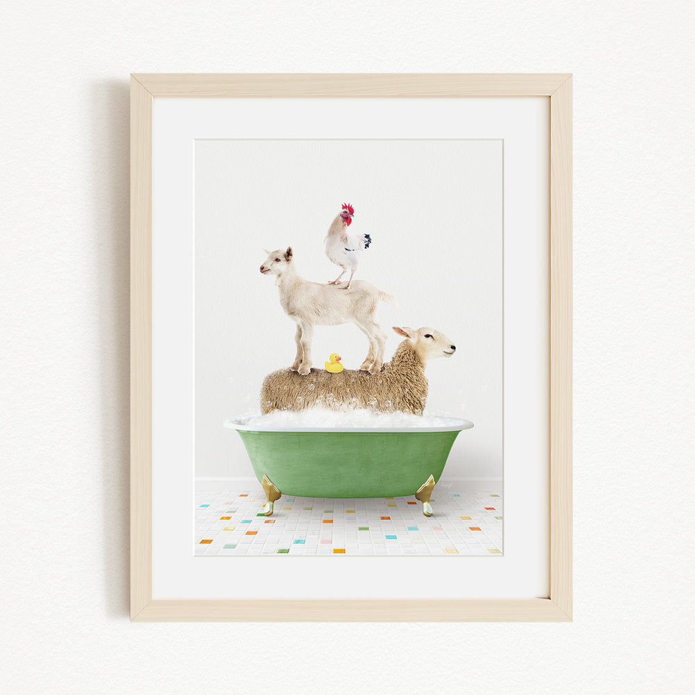 A framed image depicting a sheep standing on a tub filled with bubbles, with a chicken perched on top and a duck sitting on the sheep's back.