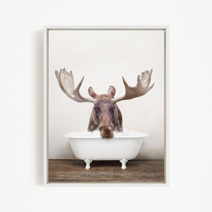 A moose with large antlers is sitting in a white bathtub filled with water, creating a whimsical and humorous scene.