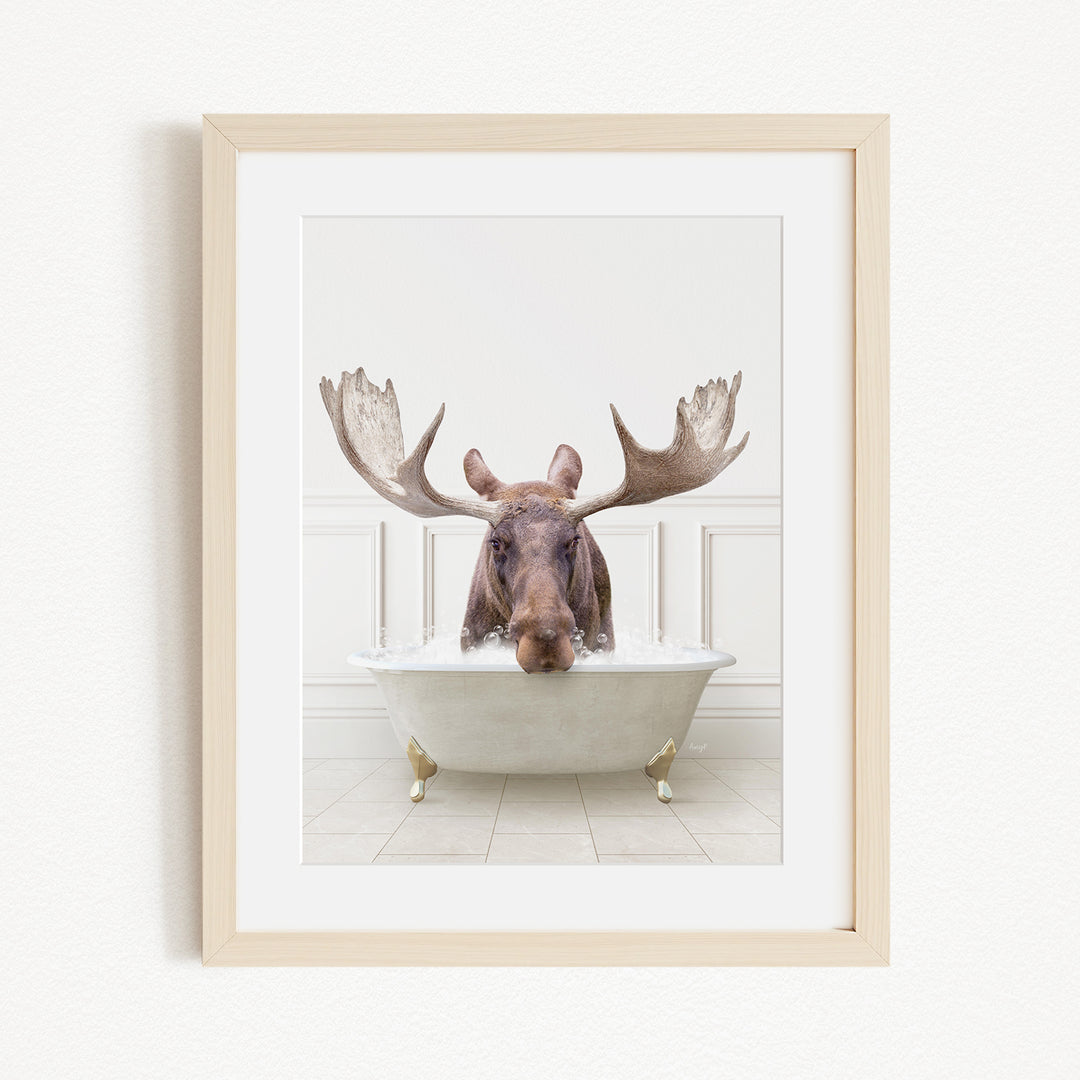 A moose with large antlers is sitting in a white bathtub, appearing to be enjoying a bath.