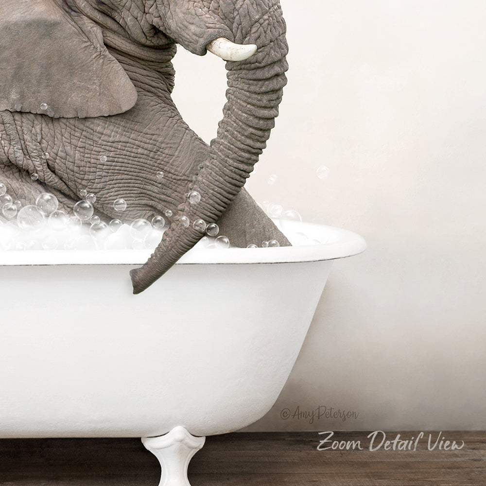 A gray elephant is sitting in a white bathtub filled with bubbles, enjoying a relaxing bath.