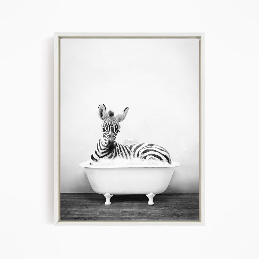 A zebra lying in a white bathtub, appearing relaxed and content.