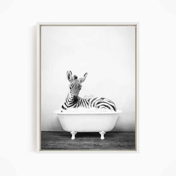 A zebra lying in a white bathtub, appearing relaxed and content.