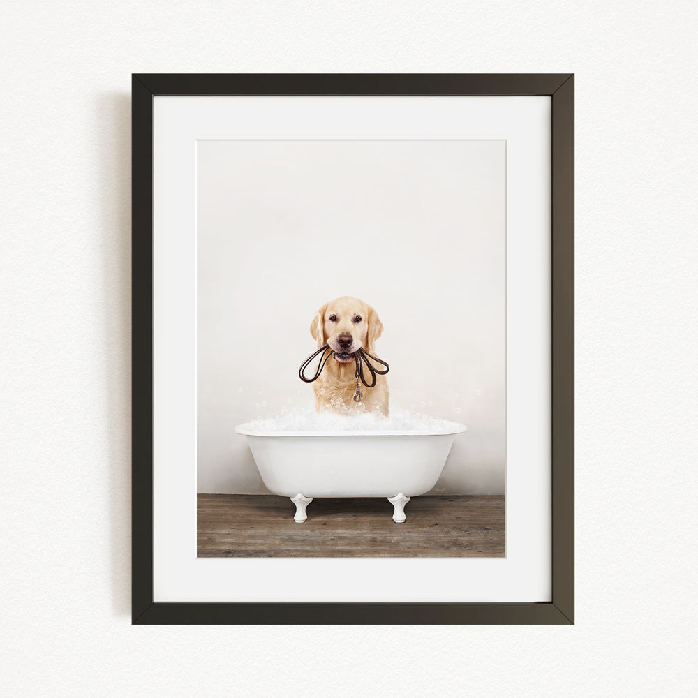 A golden retriever dog is sitting in a white bathtub, holding a leash in its mouth.
