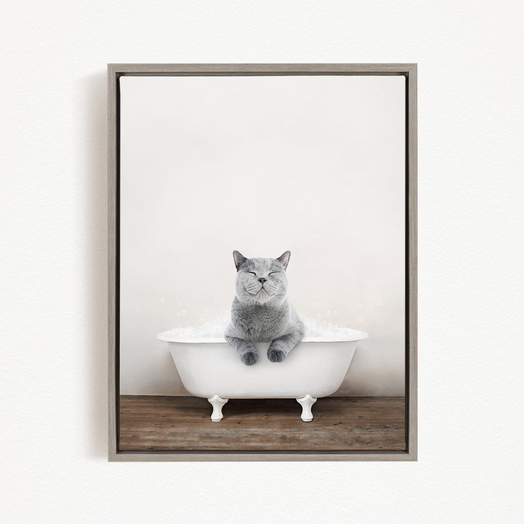 A gray cat sitting in a white bathtub filled with bubbles, looking content and relaxed.