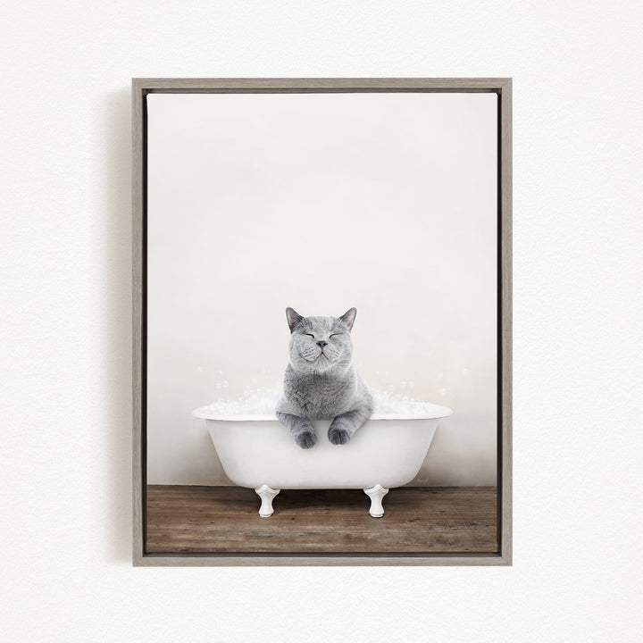 A gray cat sitting in a white bathtub filled with bubbles, looking content and relaxed.