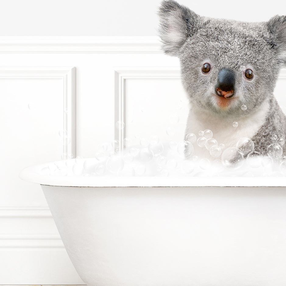 a koala is sitting in a bathtub full of bubbles