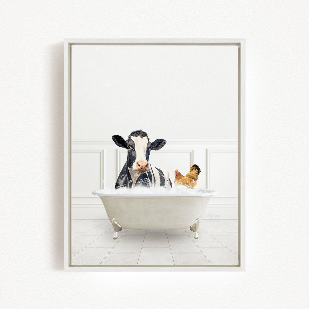 A black and white cow is sitting in a white bathtub filled with water, with a chicken nearby.