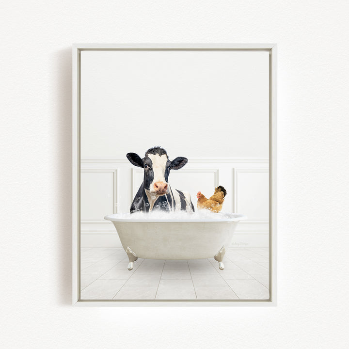 A black and white cow is sitting in a white bathtub filled with water, with a chicken nearby.