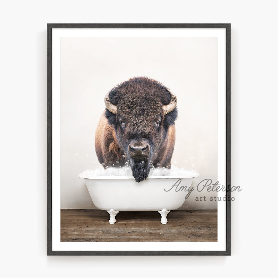 a picture of a bison taking a bath